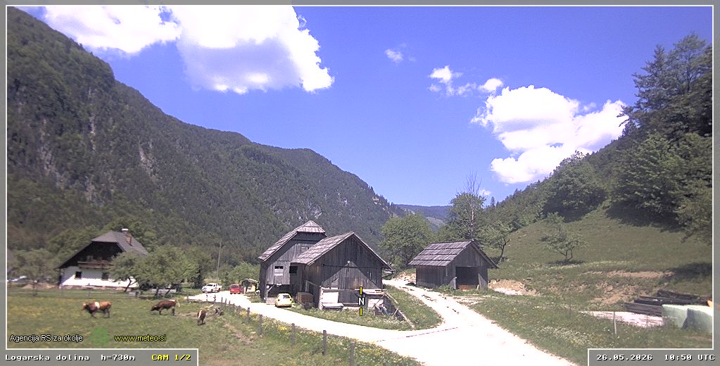 Webcam Logar valley 730 m - view towards north