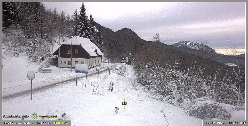 Webcam Pavličevo sedlo 1337 m - view towards northeast