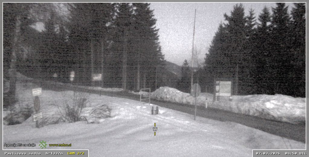 Spletna kamera Pavličevo sedlo 1337 m - pogled proti zahodu